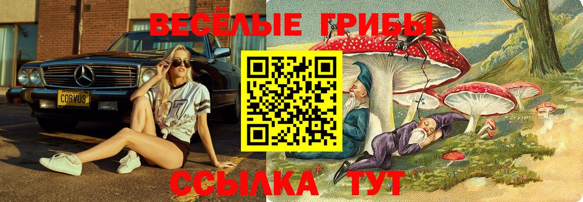 Галлюциногенные грибы Magic Shrooms  Вход с VPN  Псилоцибиновые грибы Psilocybe  Гулькевичи 