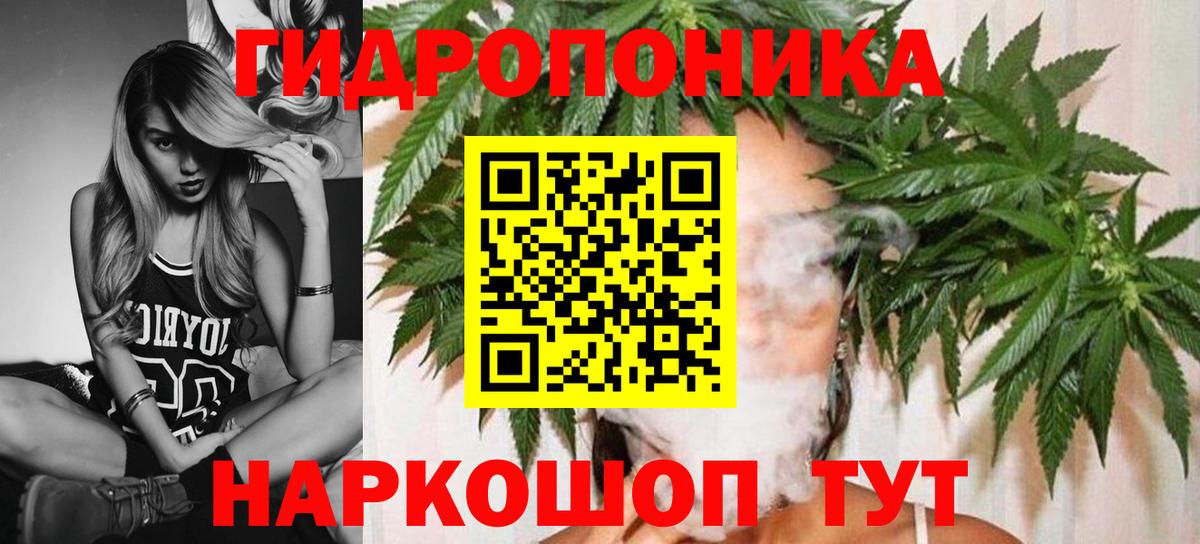 Каннабис план  Вход с VPN  Каннабис OG Kush  Марихуана конопля  Гулькевичи 